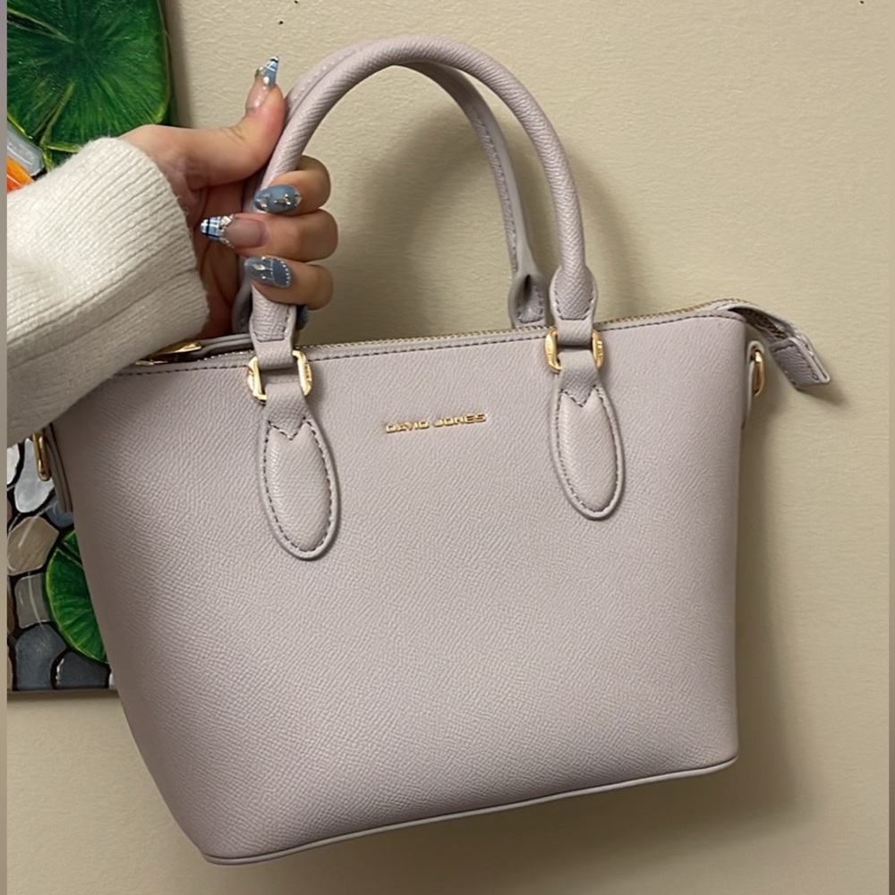 David Jones - Women's Mini Satchel Tote